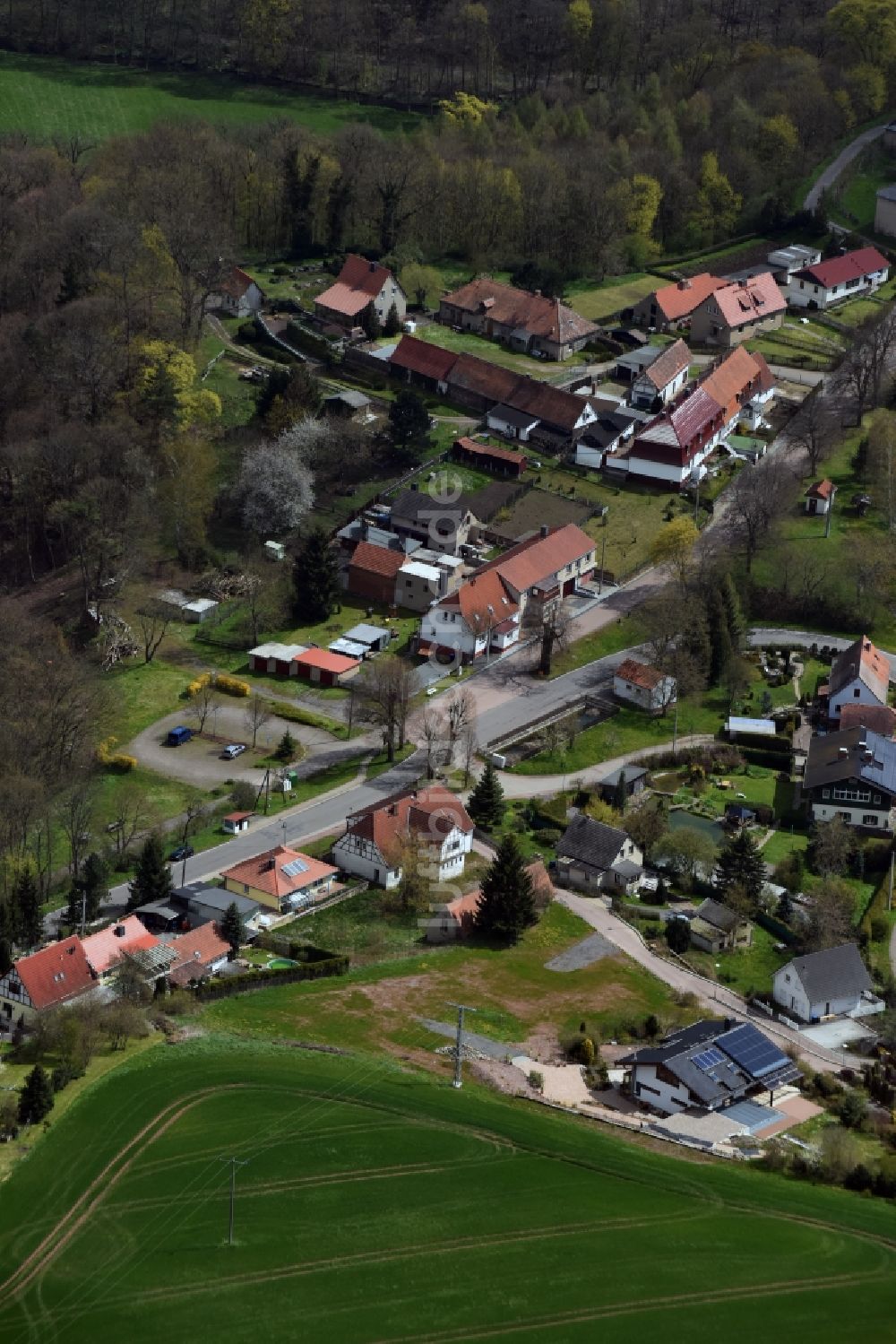 Friesdorf von oben - Dorf - Ansicht von Friesdorf im Bundesland Sachsen-Anhalt