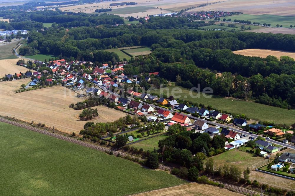 Grubnitz von oben - Dorf - Ansicht in Grubnitz im Bundesland Sachsen, Deutschland