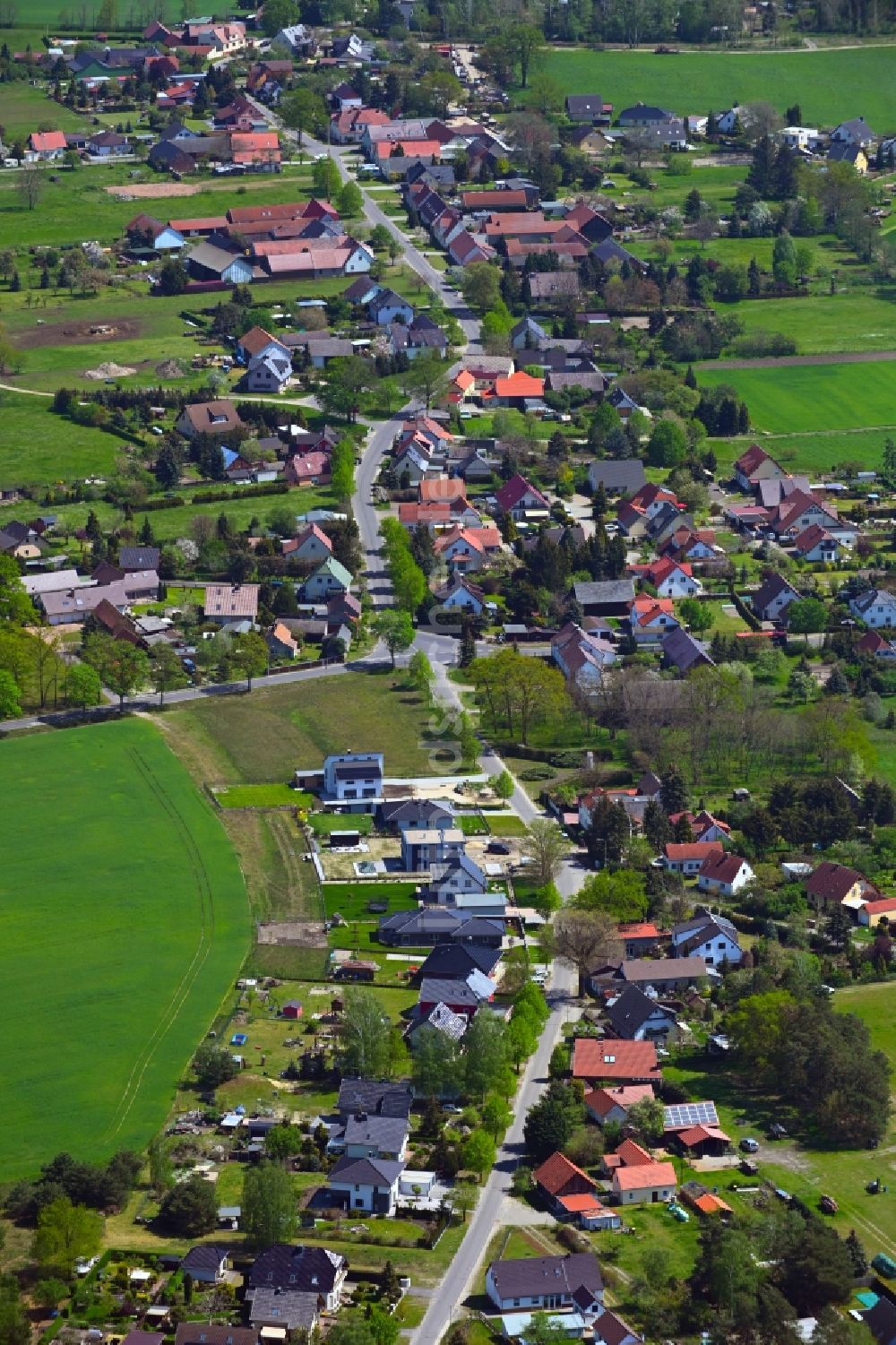 Luftbild Haasow - Dorf - Ansicht in Haasow im Bundesland Brandenburg, Deutschland