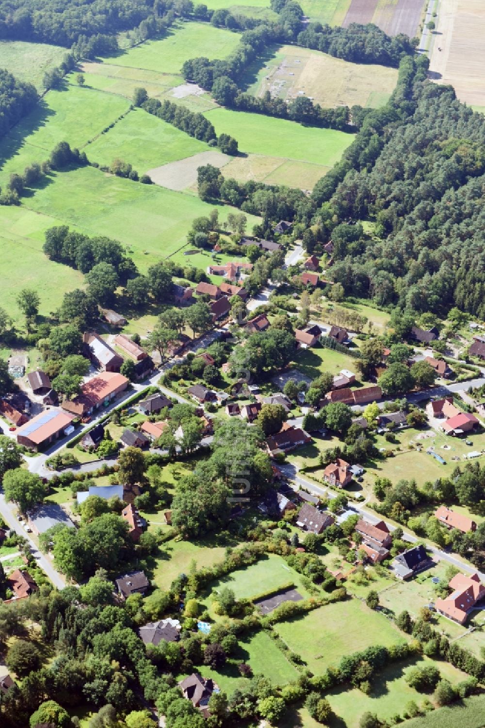 Südergellersen von oben - Dorf - Ansicht in Heiligenthal in Südergellersen im Bundesland Niedersachsen