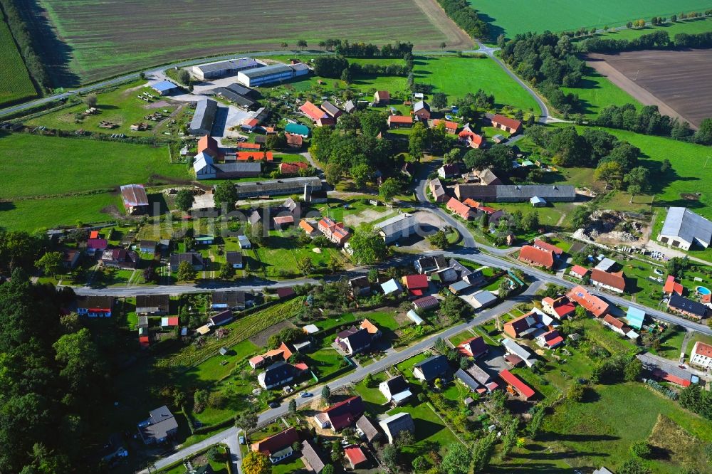 Luftaufnahme Karrenzin - Dorf - Ansicht in Karrenzin im Bundesland Mecklenburg-Vorpommern, Deutschland