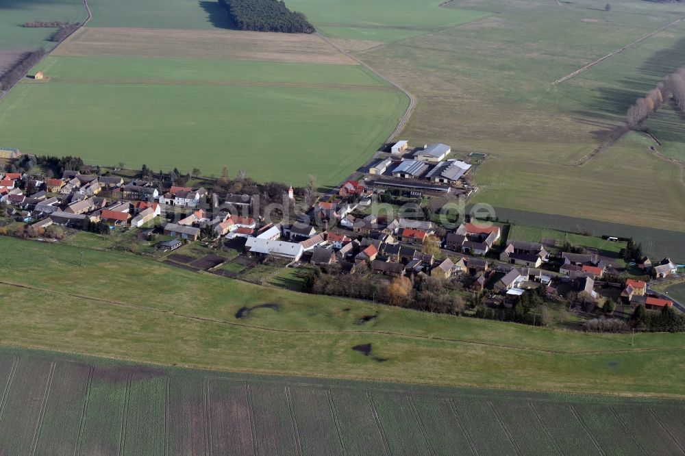 Luftaufnahme Zahna-Elster - Dorf - Ansicht von Leetza im Bundesland Sachsen-Anhalt