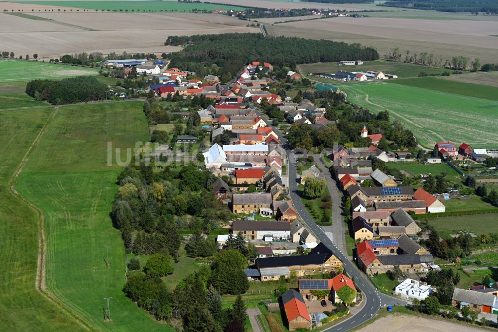 Leetza aus der Vogelperspektive: Dorf - Ansicht in Leetza im Bundesland Sachsen-Anhalt, Deutschland