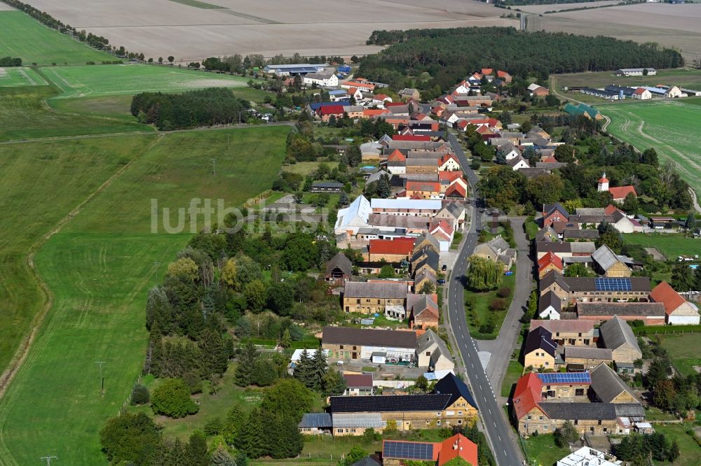 Luftbild Leetza - Dorf - Ansicht in Leetza im Bundesland Sachsen-Anhalt, Deutschland