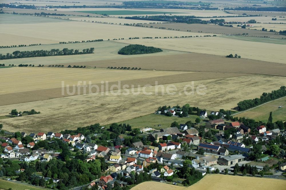 Luftaufnahme Liemehna - Dorf - Ansicht von Liemehna im Bundesland Sachsen