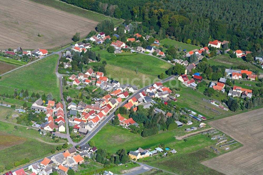 Luftaufnahme Medewitz - Dorf - Ansicht in Medewitz im Bundesland Brandenburg, Deutschland