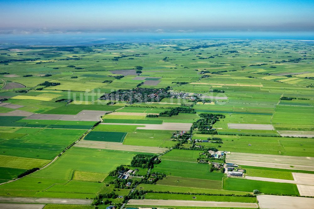 Luftaufnahme Oldenswort - Dorf - Ansicht in Oldenswort im Bundesland Schleswig-Holstein, Deutschland