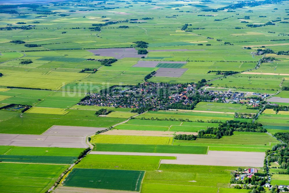 Oldenswort von oben - Dorf - Ansicht in Oldenswort im Bundesland Schleswig-Holstein, Deutschland