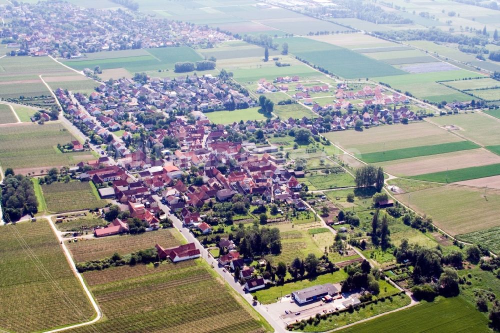 Landau in der Pfalz von oben - Dorf - Ansicht im Ortsteil Dammheim in Landau in der Pfalz im Bundesland Rheinland-Pfalz