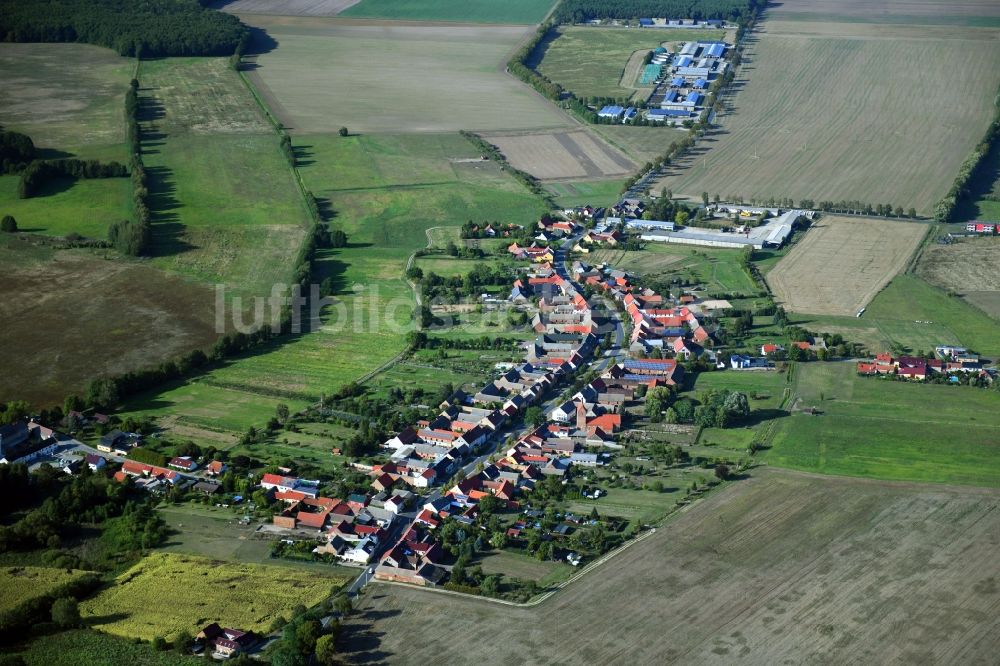 Luftaufnahme Pechüle - Dorf - Ansicht in Pechüle im Bundesland Brandenburg, Deutschland