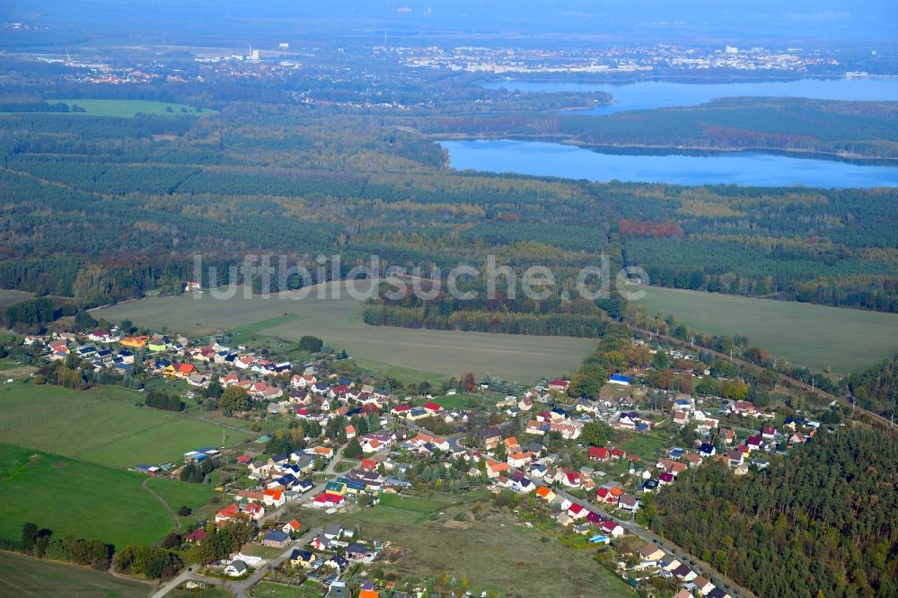 Peickwitz von oben - Dorf - Ansicht in Peickwitz im Bundesland Brandenburg, Deutschland