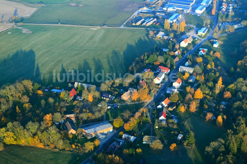 Pripsleben aus der Vogelperspektive: Dorf - Ansicht in Pripsleben im Bundesland Mecklenburg-Vorpommern, Deutschland