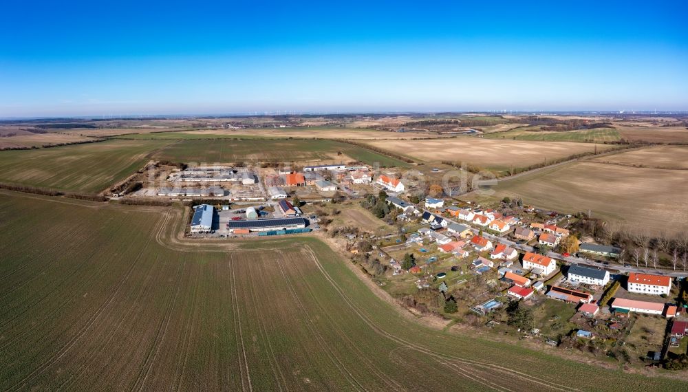 Criewen von oben - Dorf - Ansicht am Rande von Feldern in Criewen im Bundesland Brandenburg, Deutschland