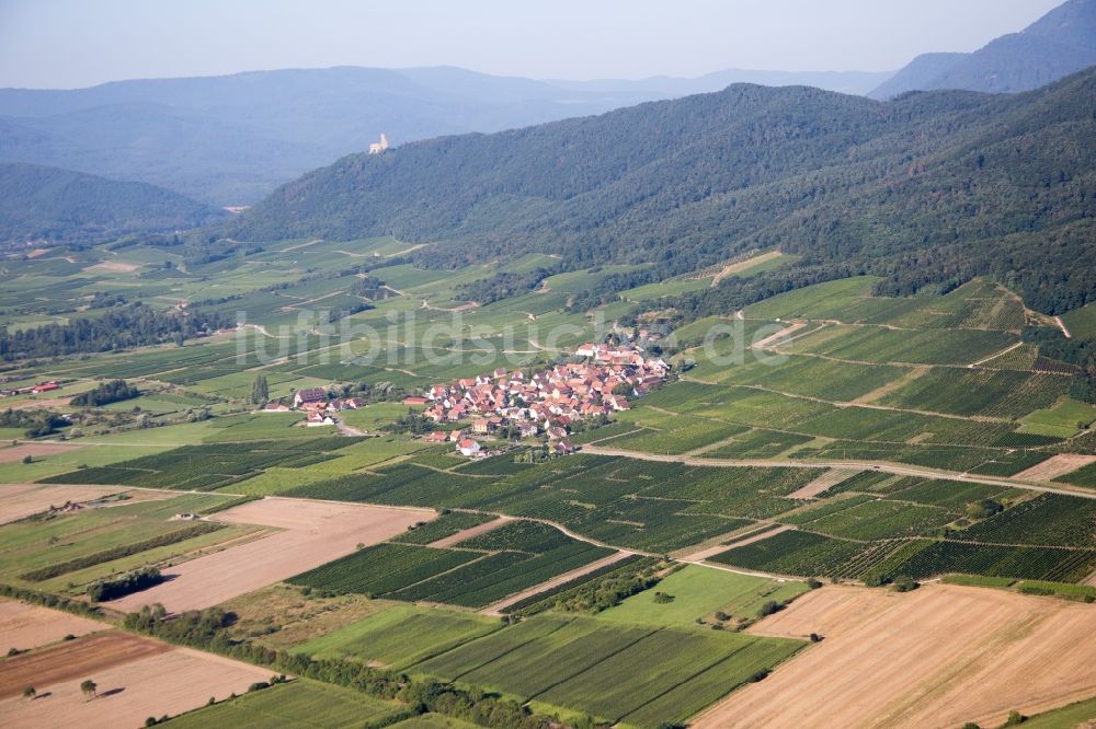 Dieffenthal von oben - Dorf - Ansicht am Rande von Feldern in Dieffenthal in Grand Est, Frankreich