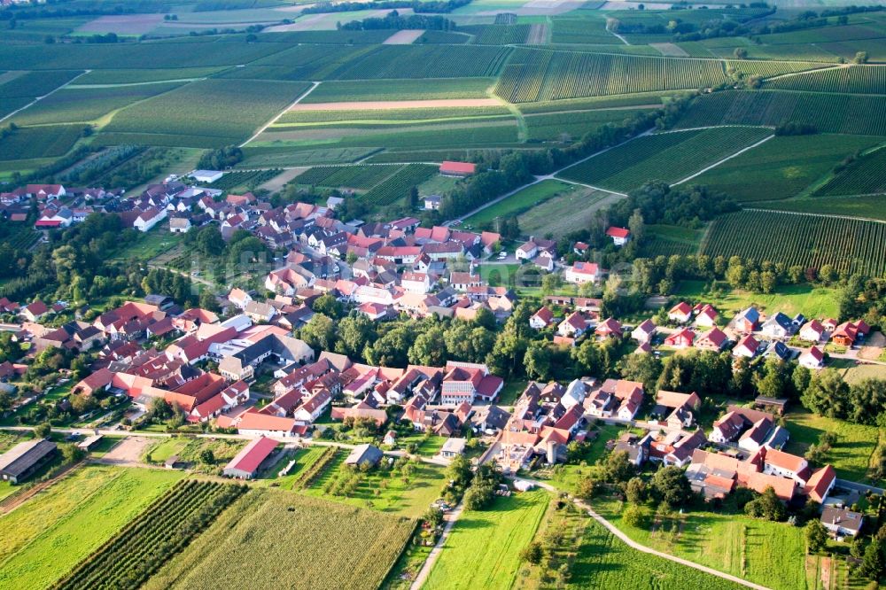 Luftbild Dierbach - Dorf - Ansicht am Rande von Feldern in Dierbach im Bundesland Rheinland-Pfalz