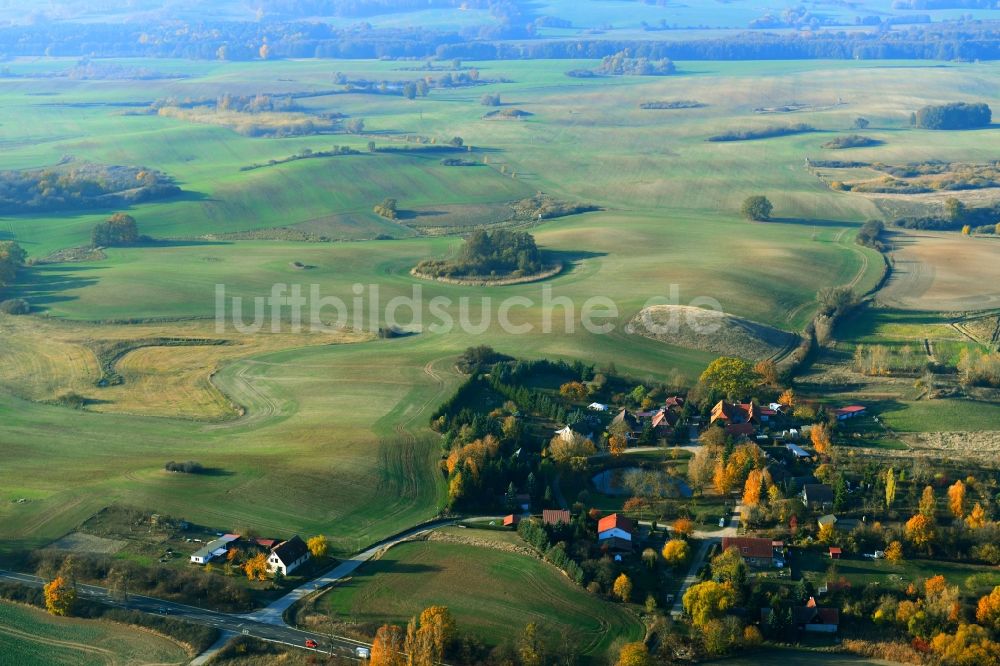 Luftbild Ehrenhof - Dorf - Ansicht am Rande von Feldern in Ehrenhof im Bundesland Mecklenburg-Vorpommern, Deutschland