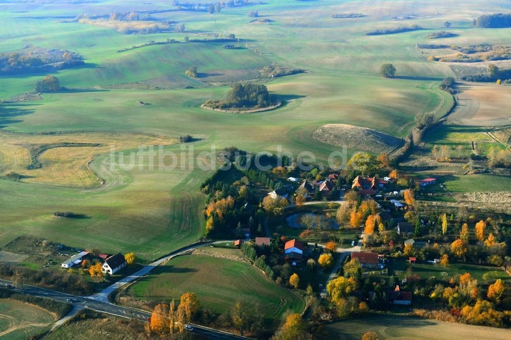 Luftaufnahme Ehrenhof - Dorf - Ansicht am Rande von Feldern in Ehrenhof im Bundesland Mecklenburg-Vorpommern, Deutschland