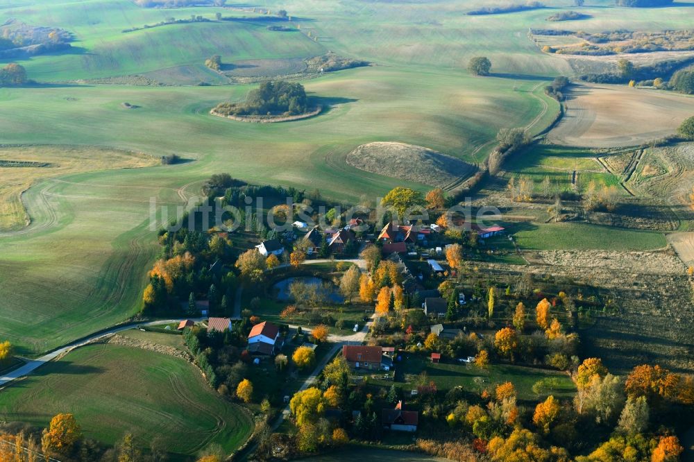 Ehrenhof von oben - Dorf - Ansicht am Rande von Feldern in Ehrenhof im Bundesland Mecklenburg-Vorpommern, Deutschland