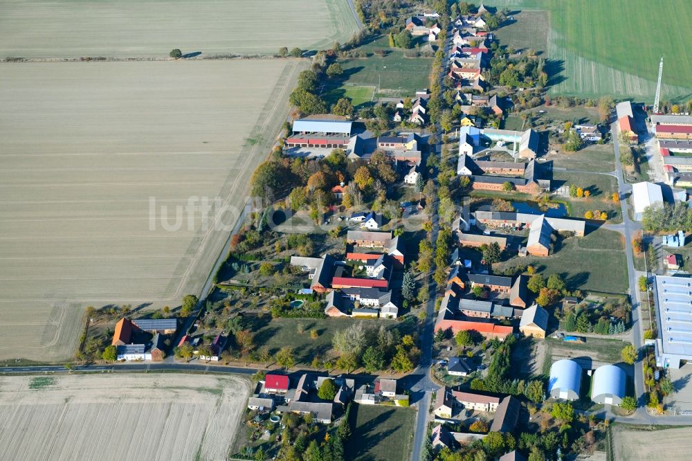 Luftbild Feldheim - Dorf - Ansicht am Rande von Feldern in Feldheim im Bundesland Brandenburg, Deutschland