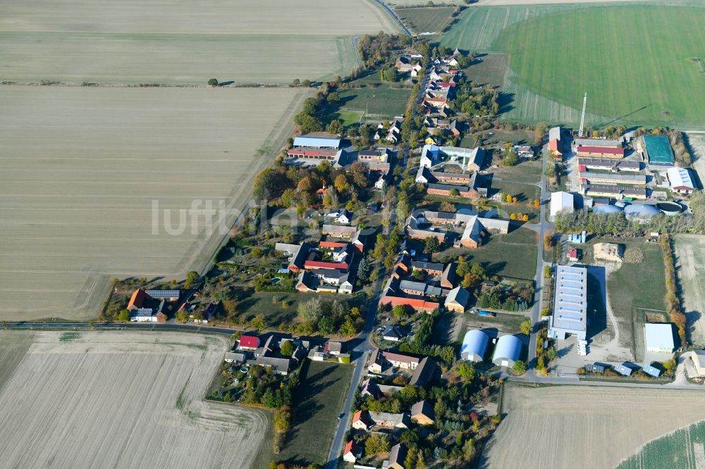 Luftaufnahme Feldheim - Dorf - Ansicht am Rande von Feldern in Feldheim im Bundesland Brandenburg, Deutschland