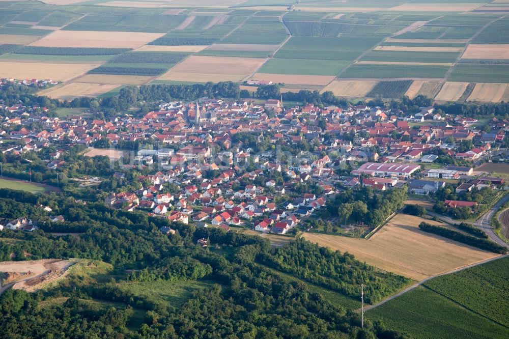 Luftbild Flonheim - Dorf - Ansicht am Rande von Feldern in Flonheim im Bundesland Rheinland-Pfalz, Deutschland