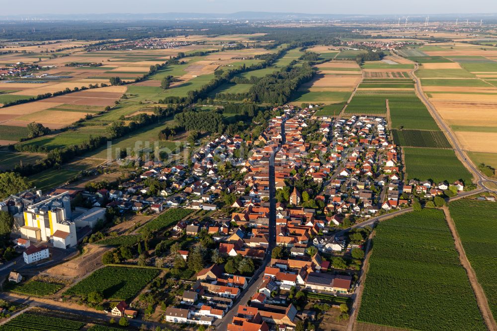 Freimersheim (Pfalz) von oben - Dorf - Ansicht am Rande von Feldern in Freimersheim (Pfalz) im Bundesland Rheinland-Pfalz