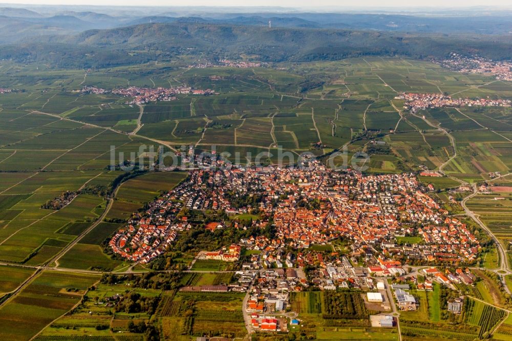 Luftbild Freinsheim - Dorf - Ansicht am Rande von Feldern in Freinsheim im Bundesland Rheinland-Pfalz, Deutschland