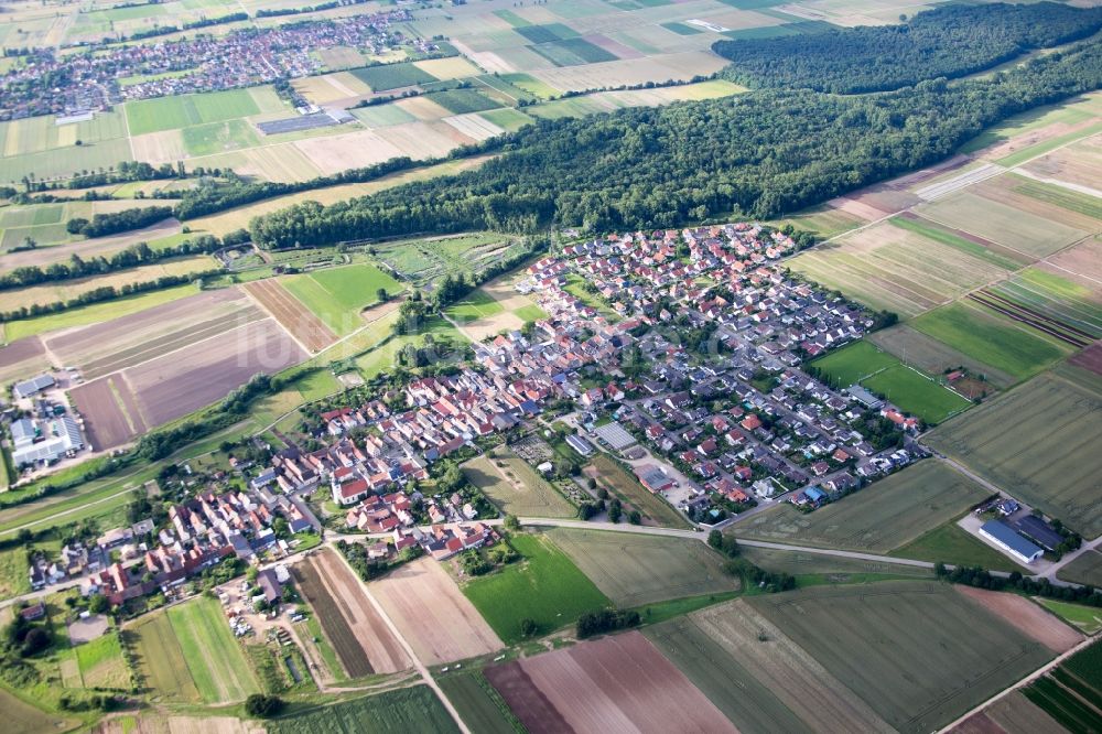 Freisbach von oben - Dorf - Ansicht am Rande von Feldern in Freisbach im Bundesland Rheinland-Pfalz, Deutschland