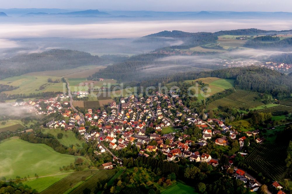 Luftaufnahme Radolfzell am Bodensee - Dorf - Ansicht am Rande von Feldern vor dem von Frühnebel vrhüllten Bodensee im Ortsteil Möggingen in Radolfzell am Bodensee im Bundesland Baden-Württemberg, Deutschland