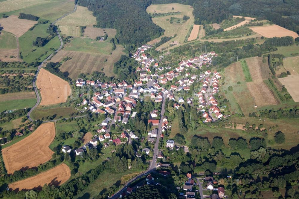 Luftbild Frohnhofen - Dorf - Ansicht am Rande von Feldern in Frohnhofen im Bundesland Rheinland-Pfalz, Deutschland