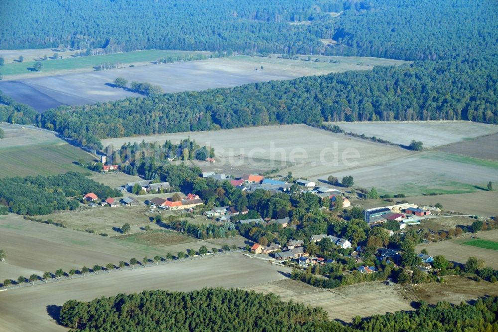 Gedelitz aus der Vogelperspektive: Dorf - Ansicht am Rande von Feldern in Gedelitz im Bundesland Niedersachsen, Deutschland