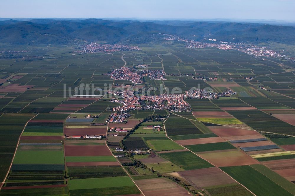 Gönnheim aus der Vogelperspektive: Dorf - Ansicht am Rande von Feldern in Gönnheim im Bundesland Rheinland-Pfalz, Deutschland