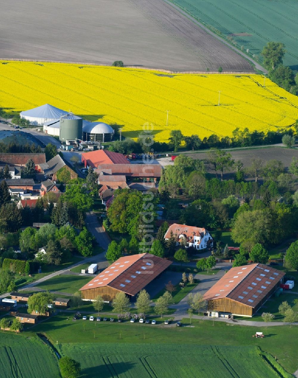 Luftaufnahme Goldbeck - Dorf - Ansicht am Rande von Feldern in Goldbeck im Bundesland Sachsen-Anhalt, Deutschland