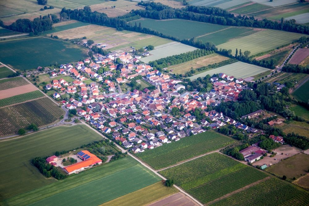 Großfischlingen von oben - Dorf - Ansicht am Rande von Feldern in Großfischlingen im Bundesland Rheinland-Pfalz, Deutschland