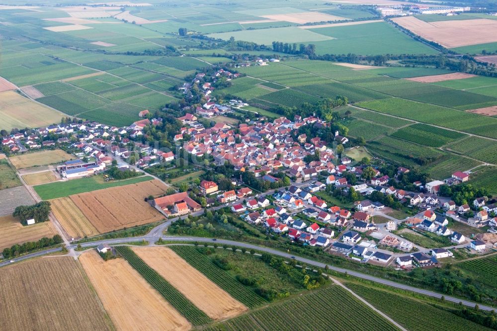 Hohen-Sülzen von oben - Dorf - Ansicht am Rande von Feldern in Hohen-Sülzen im Bundesland Rheinland-Pfalz, Deutschland