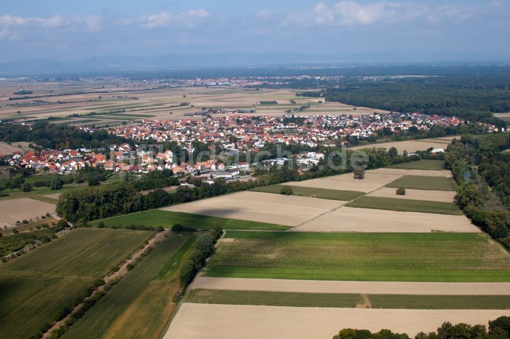 Hördt aus der Vogelperspektive: Dorf - Ansicht am Rande von Feldern in Hördt im Bundesland Rheinland-Pfalz