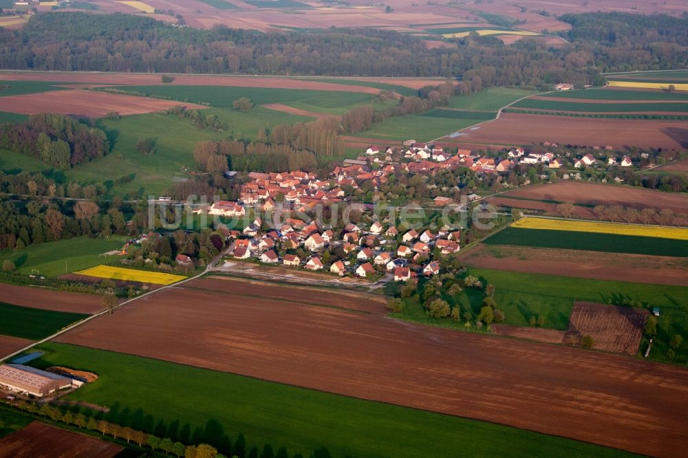 Ingolsheim von oben - Dorf - Ansicht am Rande von Feldern in Ingolsheim in Grand Est, Frankreich