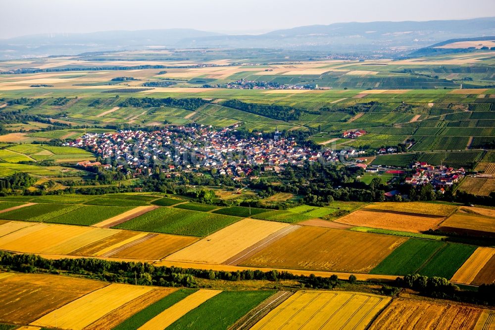 Jugenheim in Rheinhessen aus der Vogelperspektive: Dorf - Ansicht am Rande von Feldern in Jugenheim in Rheinhessen im Bundesland Rheinland-Pfalz, Deutschland