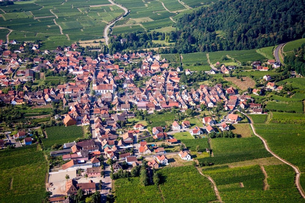 Luftbild Kintzheim - Dorf - Ansicht am Rande von Feldern in Kintzheim in Grand Est, Frankreich