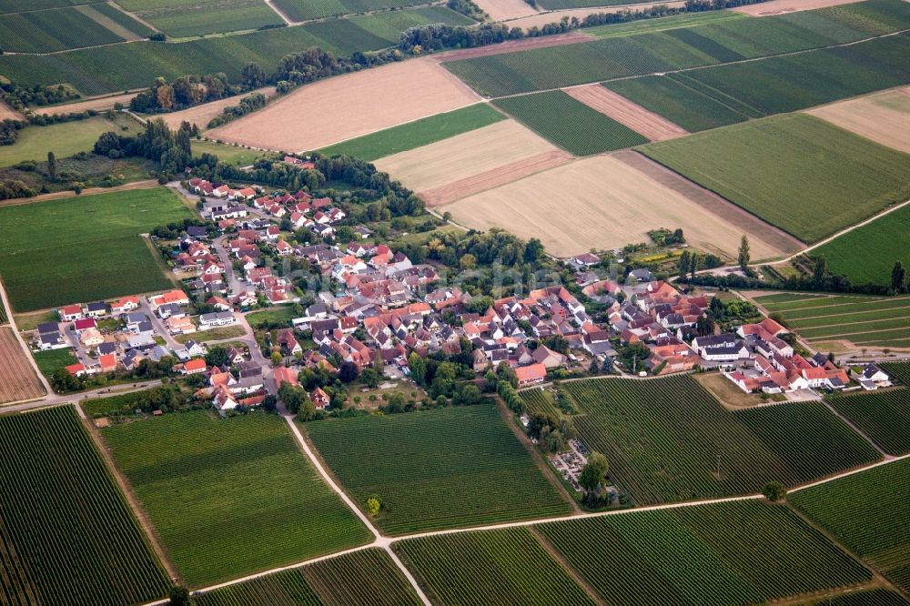 Kleinfischlingen aus der Vogelperspektive: Dorf - Ansicht am Rande von Feldern in Kleinfischlingen im Bundesland Rheinland-Pfalz, Deutschland