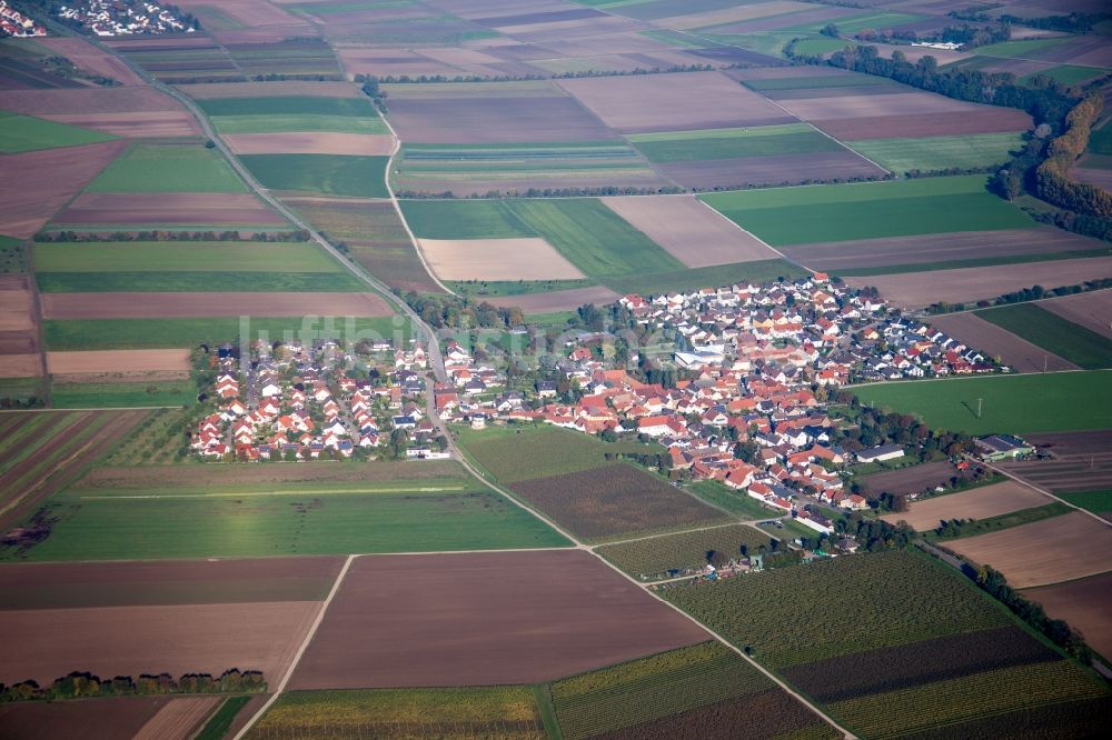 Kleinniedesheim aus der Vogelperspektive: Dorf - Ansicht am Rande von Feldern in Kleinniedesheim im Bundesland Rheinland-Pfalz, Deutschland