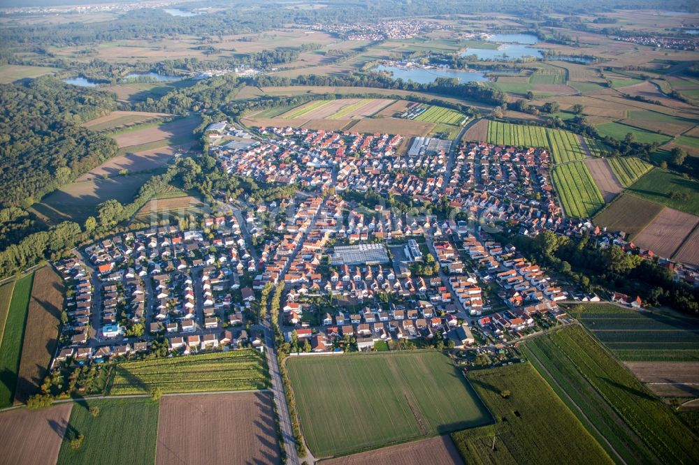 Kuhardt aus der Vogelperspektive: Dorf - Ansicht am Rande von Feldern in Kuhardt im Bundesland Rheinland-Pfalz, Deutschland