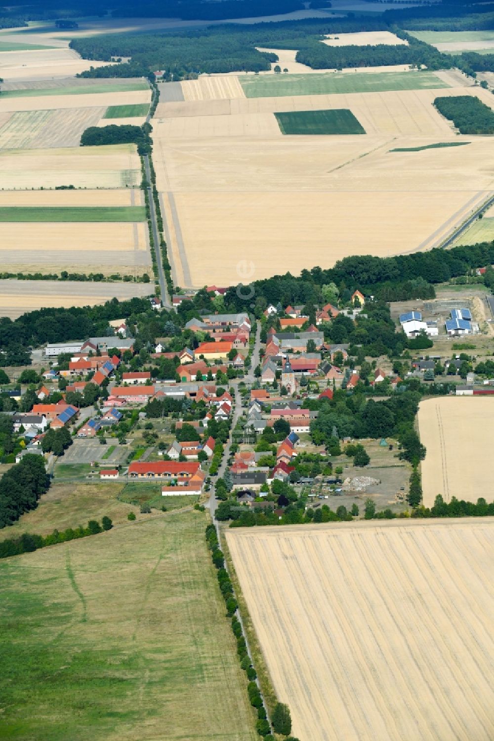 Mechau aus der Vogelperspektive: Dorf - Ansicht am Rande von Feldern in Mechau im Bundesland Sachsen-Anhalt, Deutschland