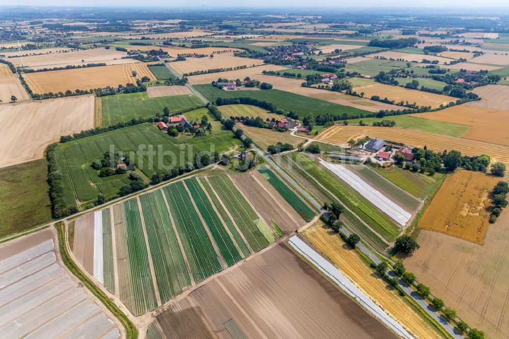 Luftaufnahme Mersch - Dorf - Ansicht am Rande von Feldern in Mersch im Bundesland Nordrhein-Westfalen, Deutschland