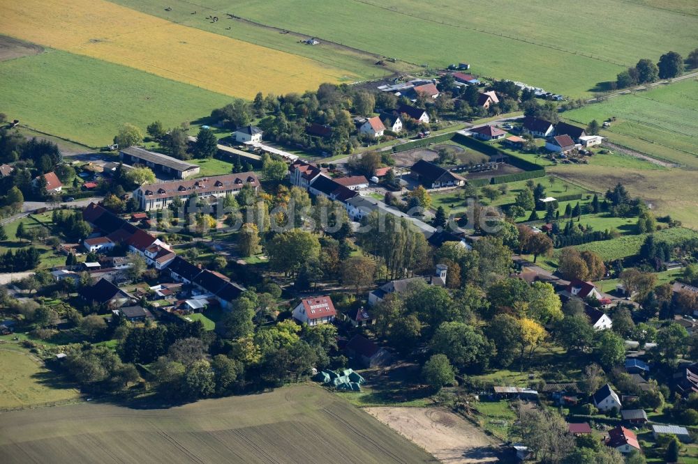 Luftaufnahme Molkenberg - Dorf - Ansicht am Rande von Feldern in Molkenberg im Bundesland Brandenburg, Deutschland