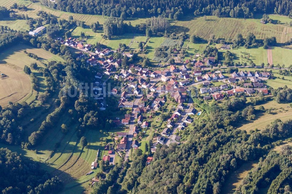 Luftbild Niederschlettenbach - Dorf - Ansicht am Rande von Feldern in Niederschlettenbach im Bundesland Rheinland-Pfalz, Deutschland