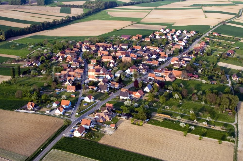 Hoffen aus der Vogelperspektive: Dorf - Ansicht am Rande von Feldern mit Obstbäumen in Hoffen in Grand Est, Frankreich