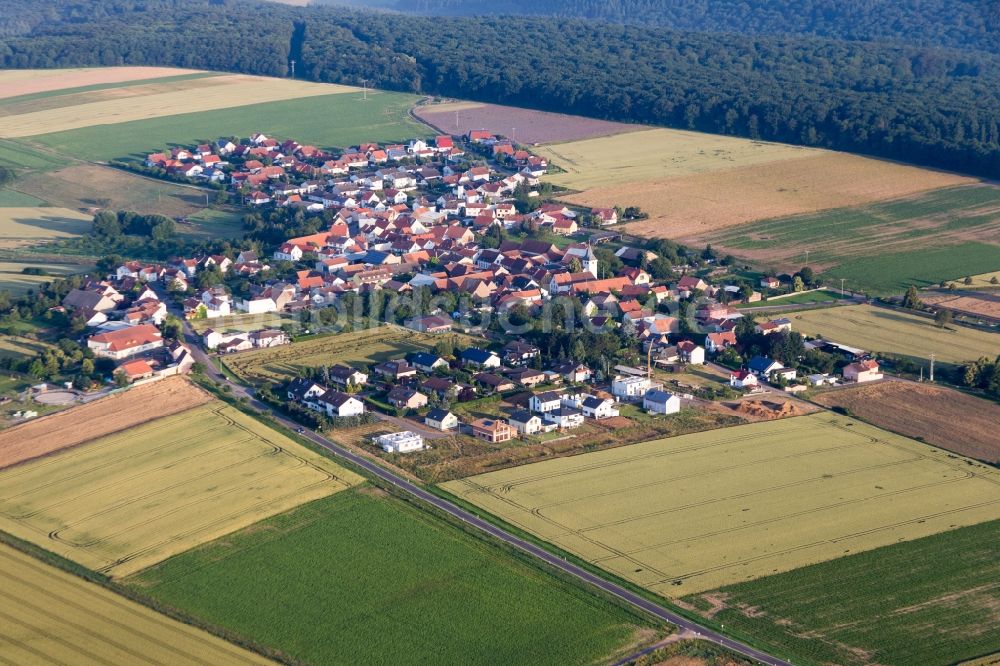 Luftaufnahme Orbis - Dorf - Ansicht am Rande von Feldern in Orbis im Bundesland Rheinland-Pfalz, Deutschland