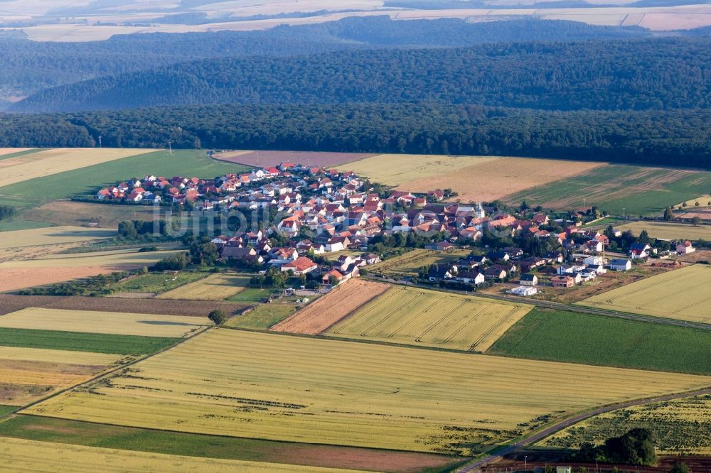 Luftbild Orbis - Dorf - Ansicht am Rande von Feldern in Orbis im Bundesland Rheinland-Pfalz, Deutschland