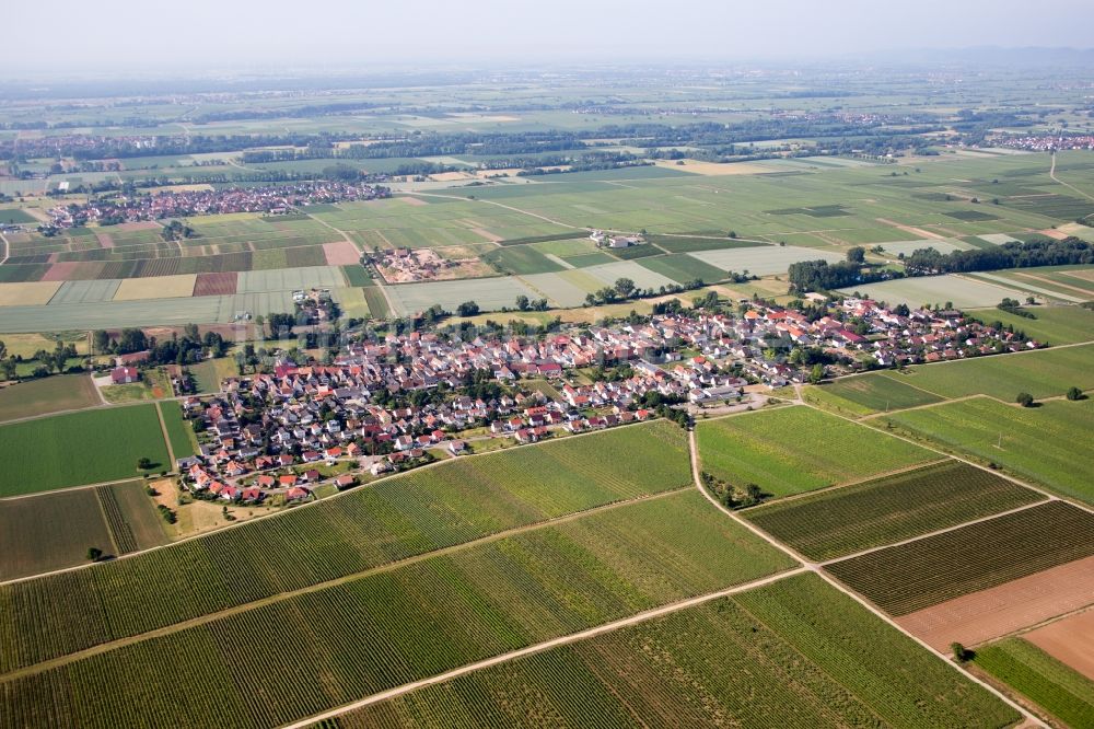 Neustadt an der Weinstraße aus der Vogelperspektive: Dorf - Ansicht am Rande von Feldern im Ortsteil Duttweiler in Neustadt an der Weinstraße im Bundesland Rheinland-Pfalz